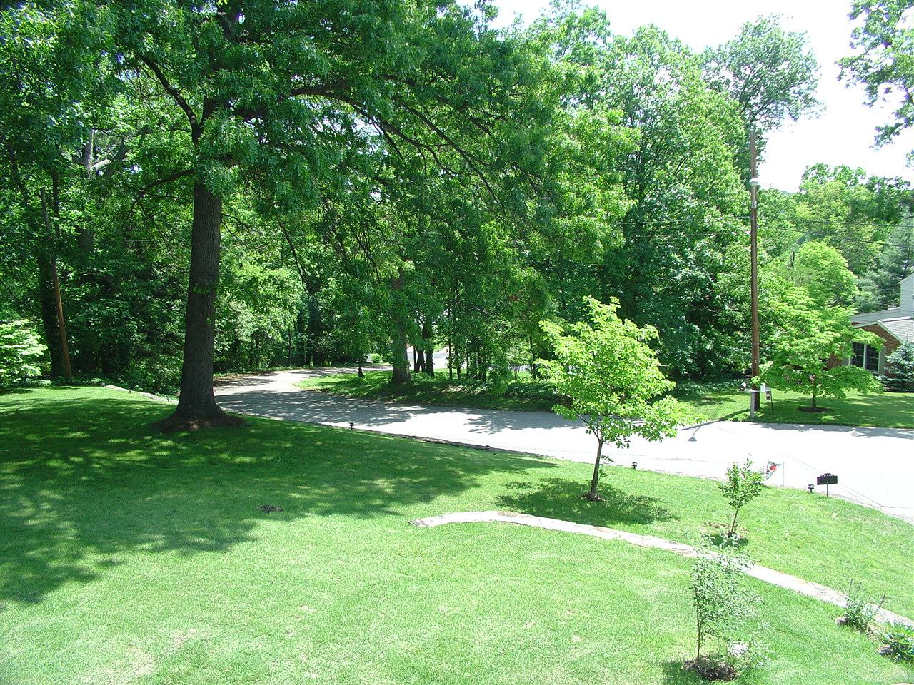 2547 Sprucewood Road Southwest Roanoke, VA 24015 - Photo 19 of 19 Front Yard