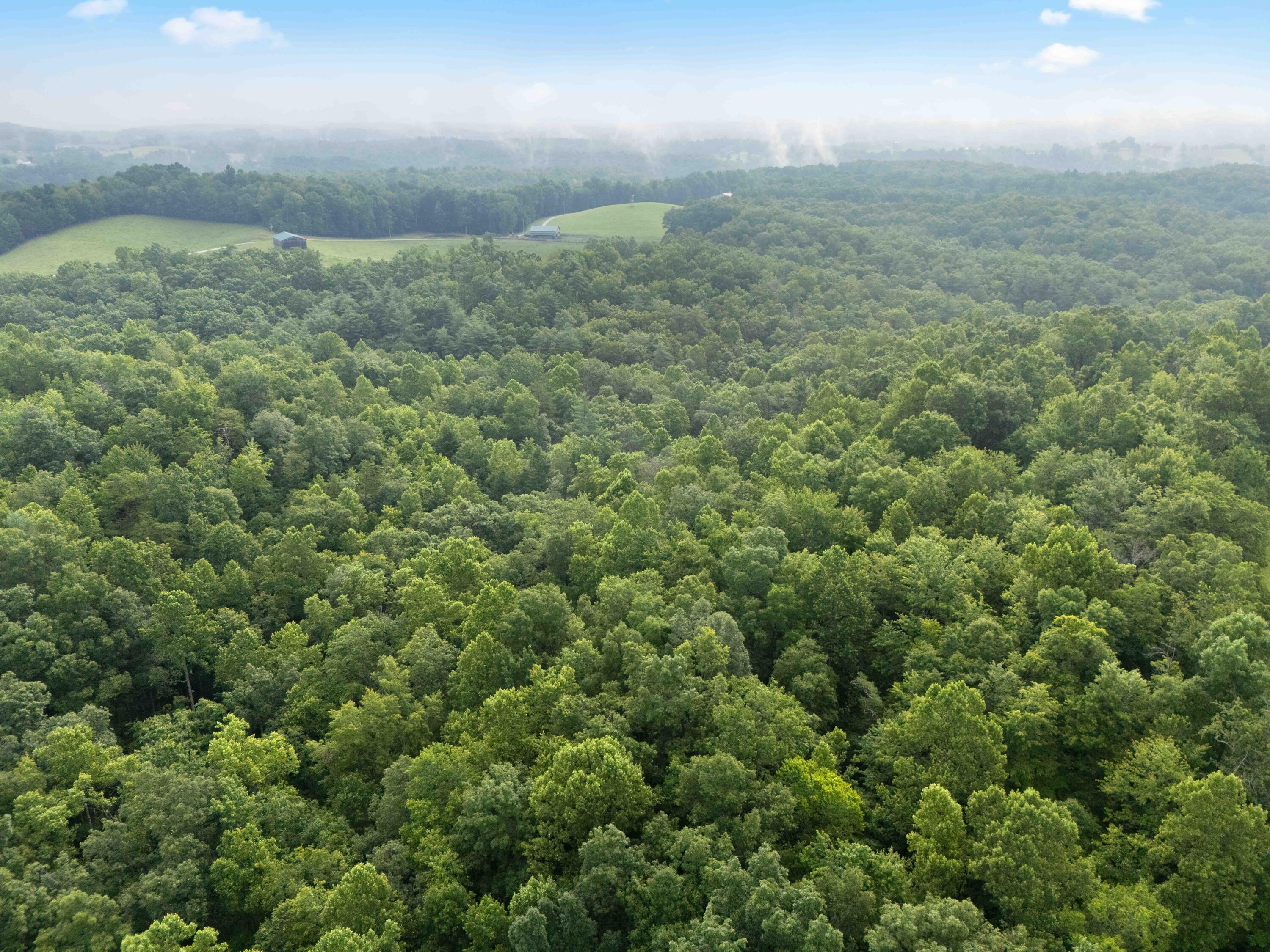 2536 Tarr Ridge Road Frenchburg, KY 40322 - Photo 61 of 65 2536 Tarr Ridge Rd.-63