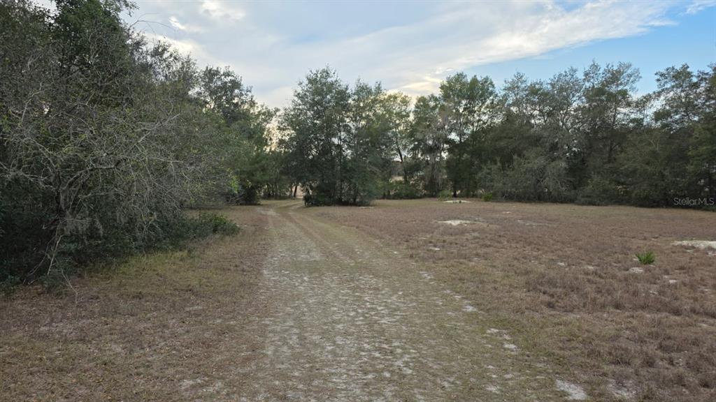 19522 McCall Road Altoona, FL 32702 - Photo 10 of 12