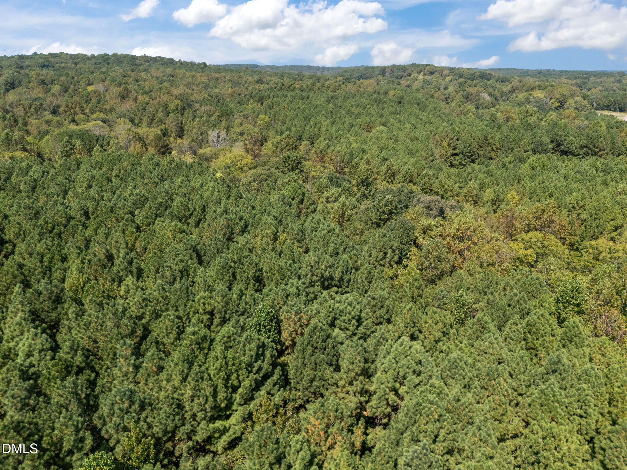 7409 Guess Road Hillsborough, NC 27278 - Photo 12 of 13 8-web-or-mls-DJI_20250919130428_0046_D