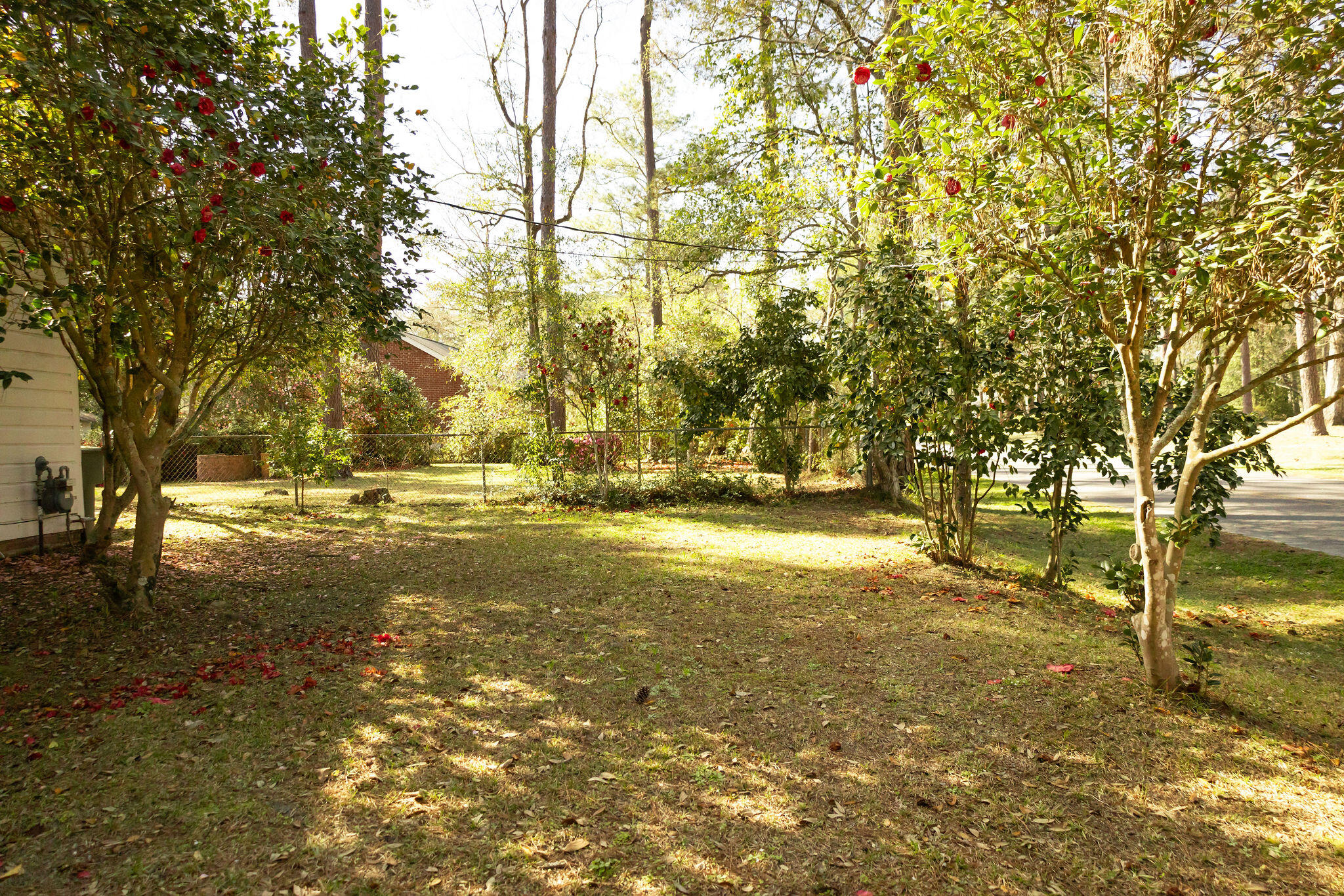 202 Churchill Road Walterboro, SC 29488 - Photo 47 of 47 3T6A1514