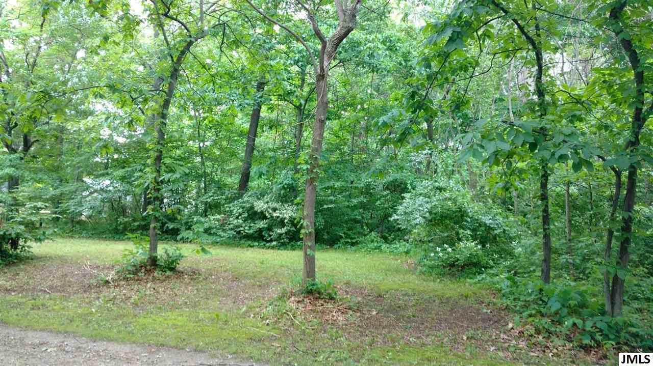 6425 Jordan Road, Unit PARCEL B Jackson, MI 49201 - Photo 1 of 1 Photo 1