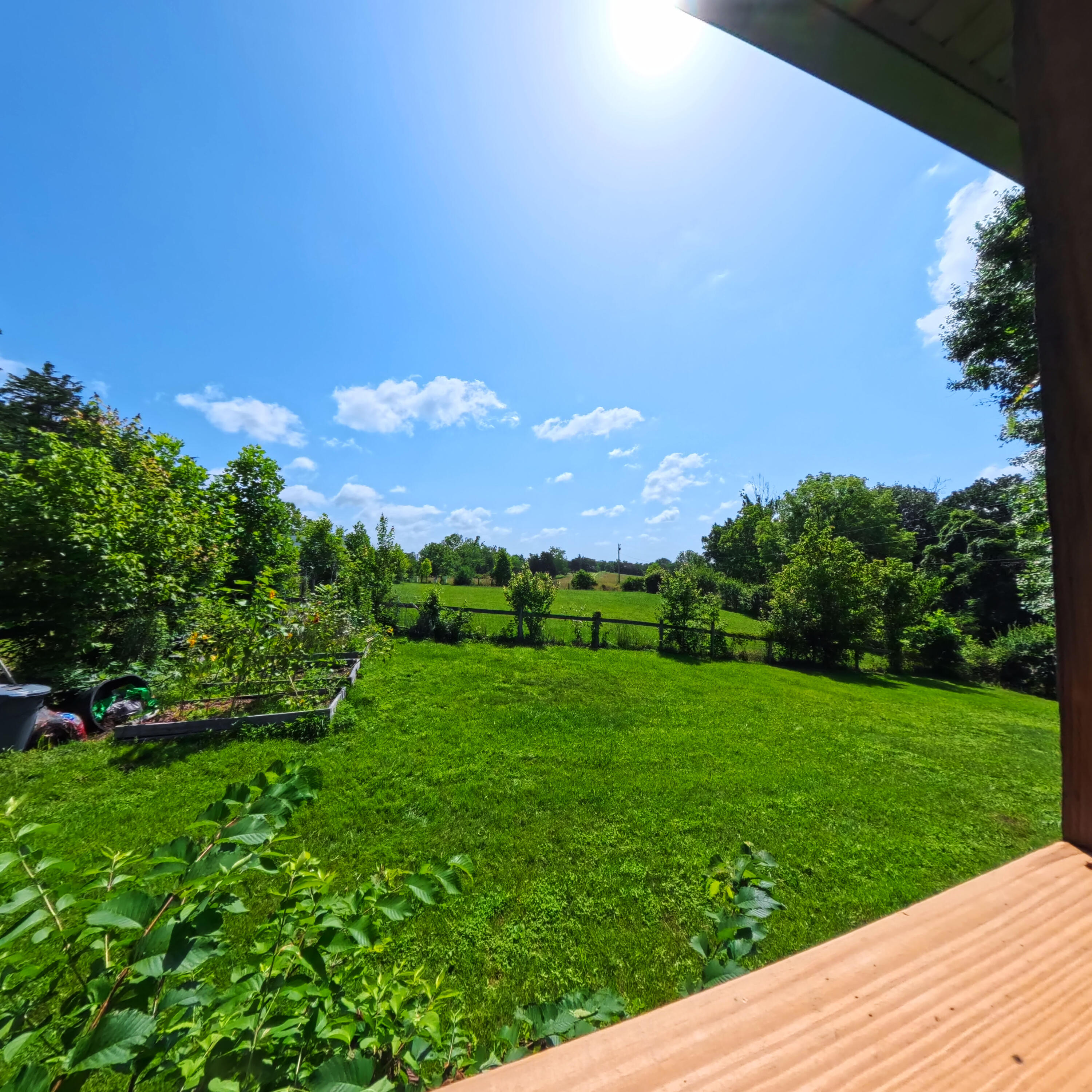 975 Red River Road Irvine, KY 40336 - Photo 5 of 71 The view from the front porch