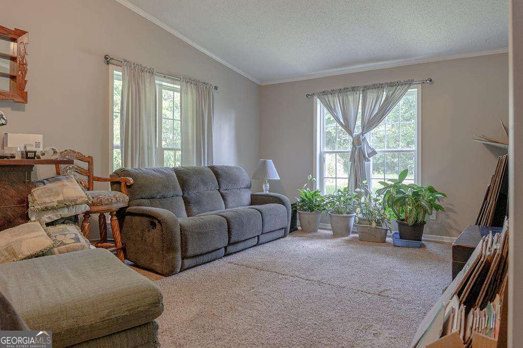 714 Yates Road Bowdon, GA 30108 - Photo 24 of 28 a living room with furniture and windows