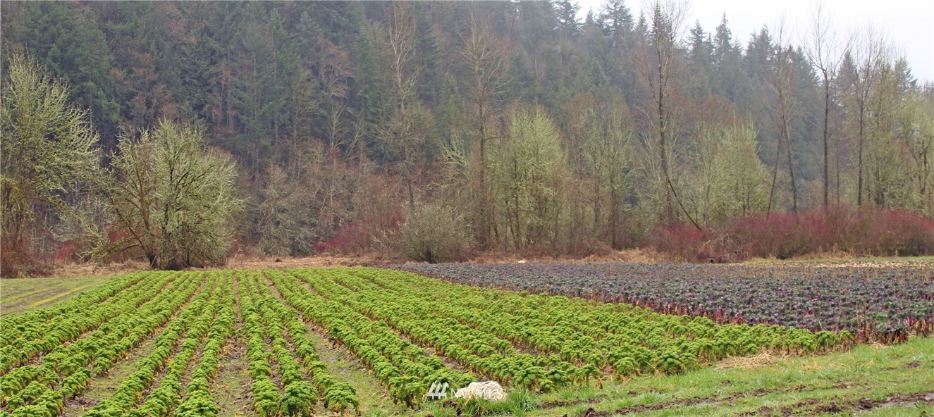13149 Independence Road Southwest Rochester, WA 98579 - Photo 8 of 25