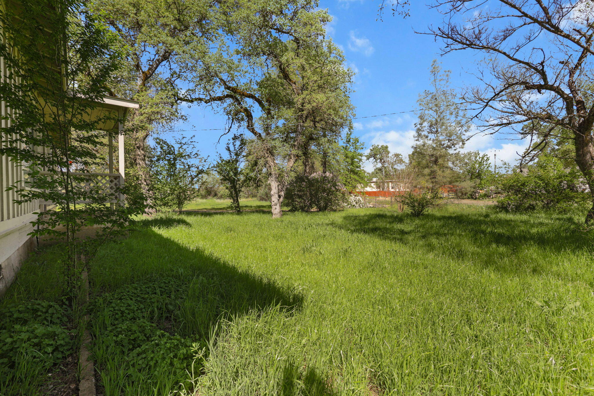 18439 Old Oasis Road Redding, CA 96003 - Photo 20 of 30 Yard