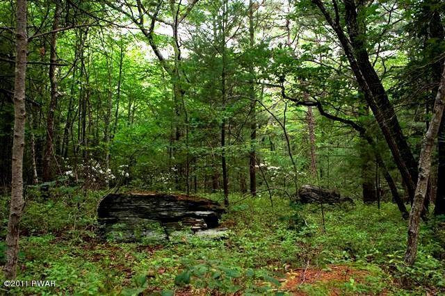 Lot 4 Frenchtown Road Milford, PA 18337 - Photo 1 of 1