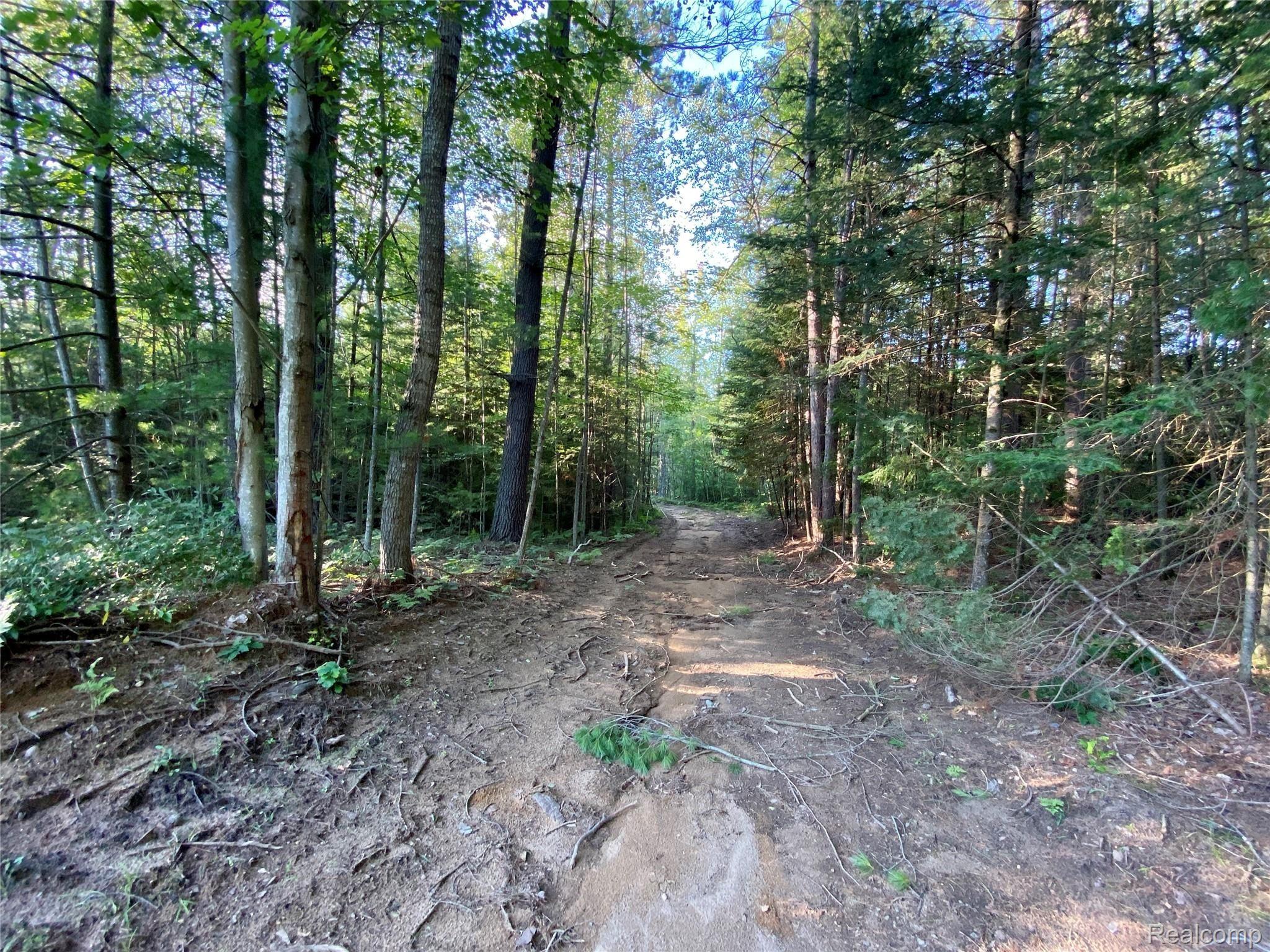 2800 Maple Grv Road Farwell, MI 48622 - Photo 37 of 47 t7.jpeg