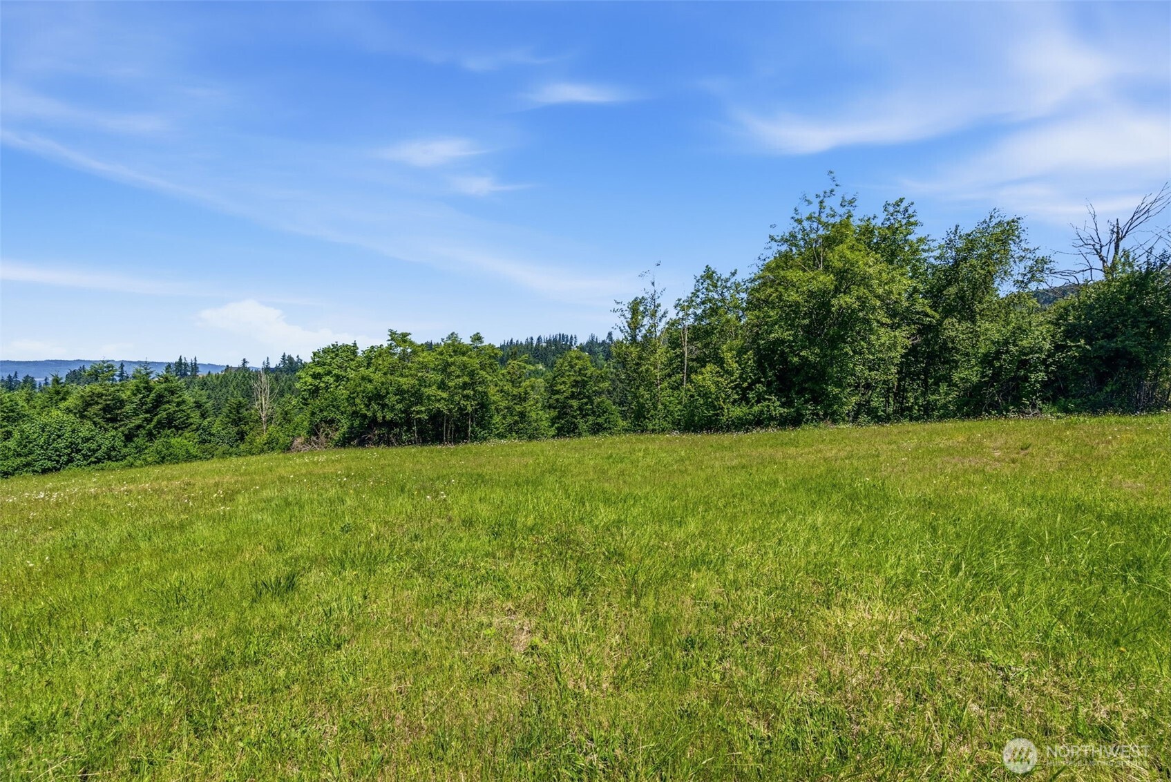 852 Confer Road Kalama, WA 98625 - Photo 5 of 16