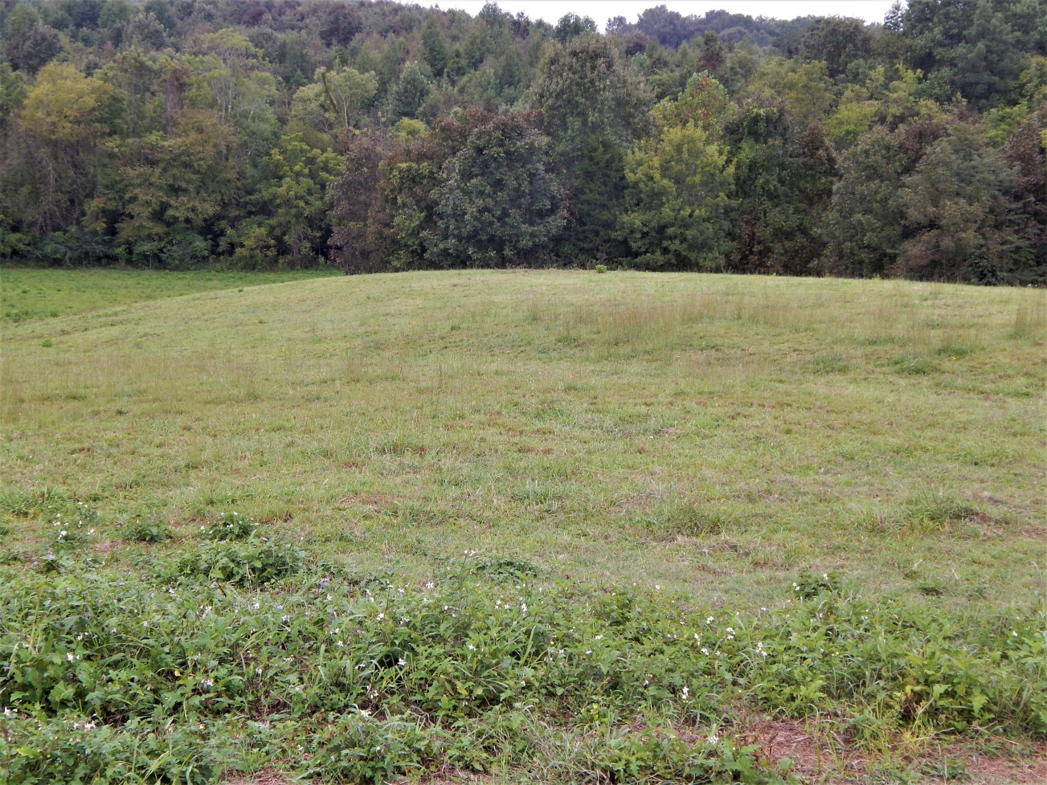285 Senator Cobb Road Clifton, TN 38425 - Photo 39 of 49 Gallery Image 39