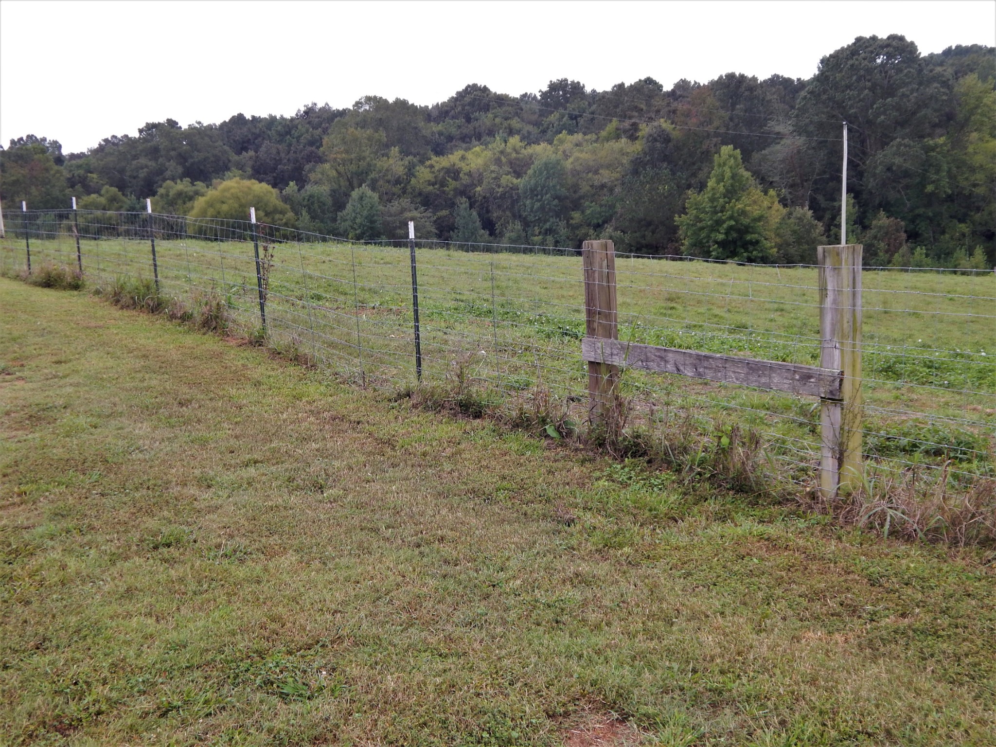 285 Senator Cobb Road Clifton, TN 38425 - Photo 40 of 49 Gallery Image 40