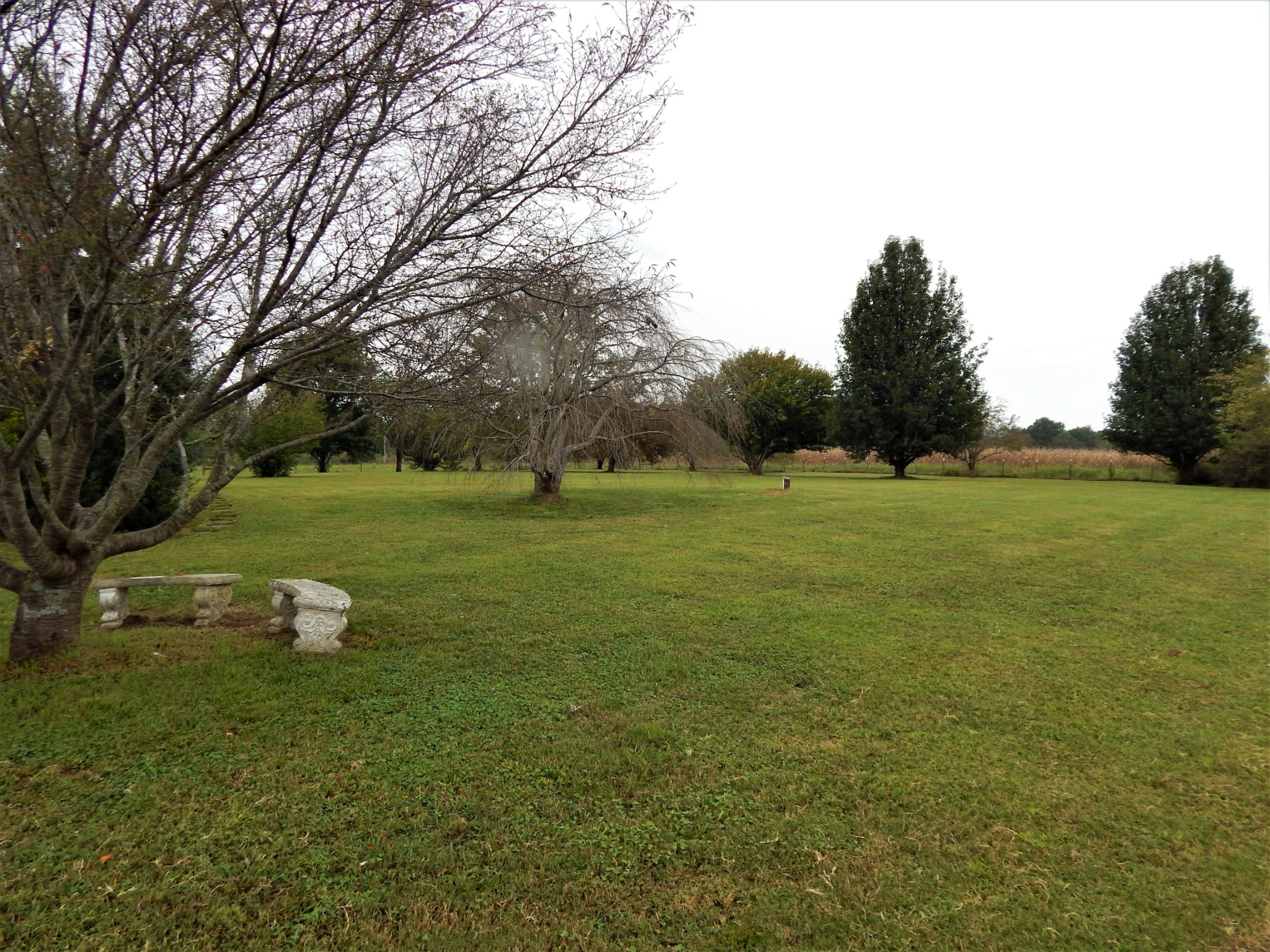 285 Senator Cobb Road Clifton, TN 38425 - Photo 41 of 49 Gallery Image 41