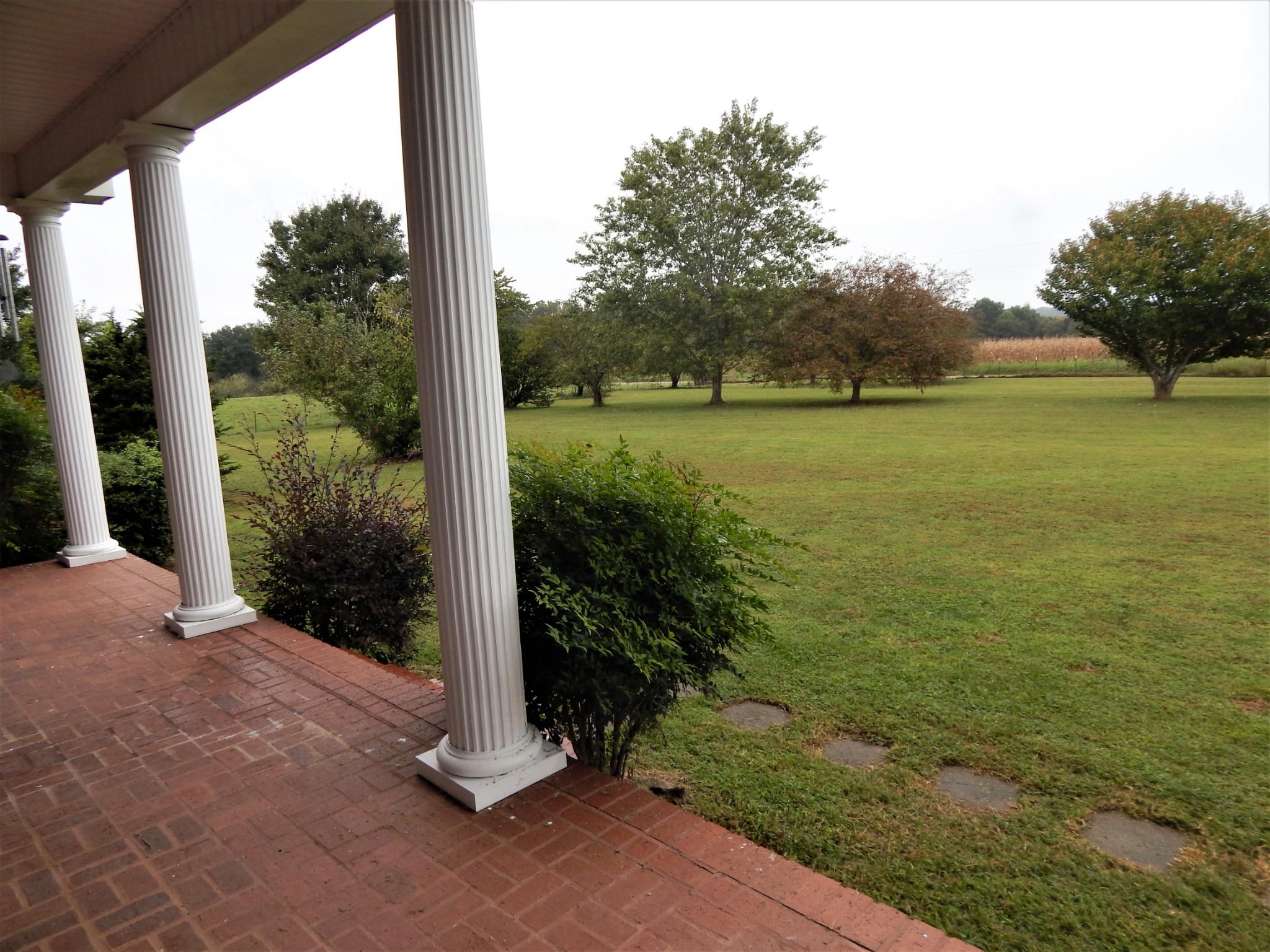 285 Senator Cobb Road Clifton, TN 38425 - Photo 44 of 49 Gallery Image 44