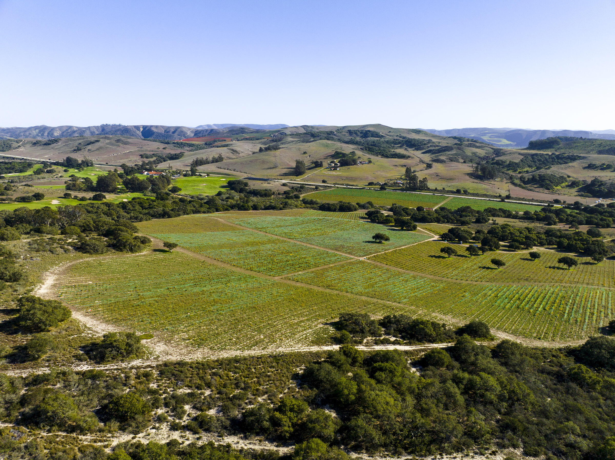 3145 Highway 246 Lompoc, CA 93436 - Photo 5 of 32 2755 Purisima Rd_0018