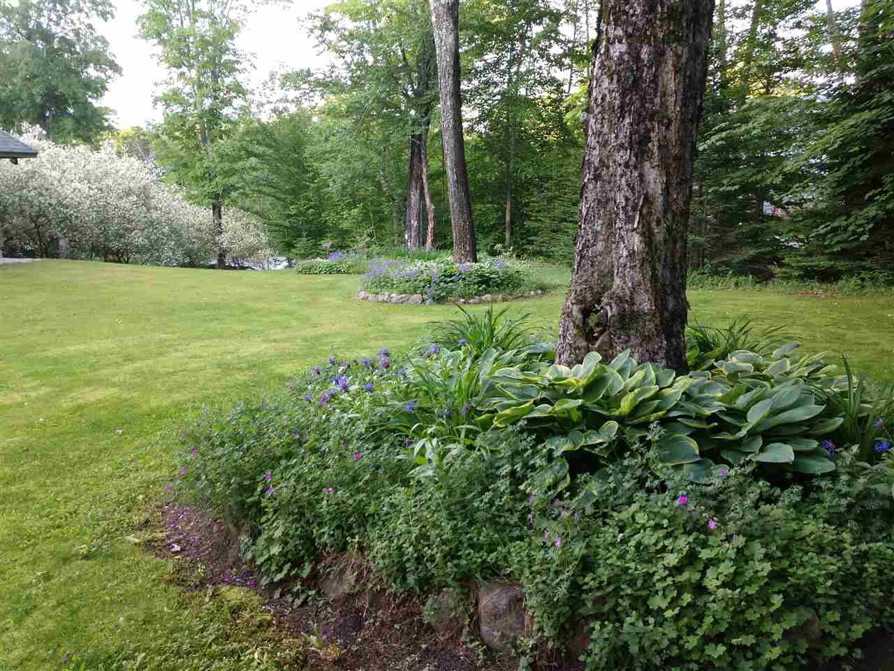 519 West Park Road Killington, VT 05751 - Photo 33 of 35 Gallery Image 33