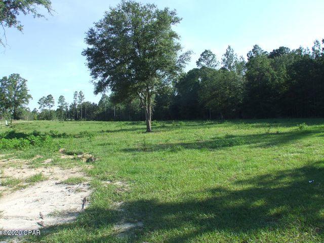 2835 Beall Packing Road Bonifay, FL 32425 - Photo 4 of 48 Gallery Image 4