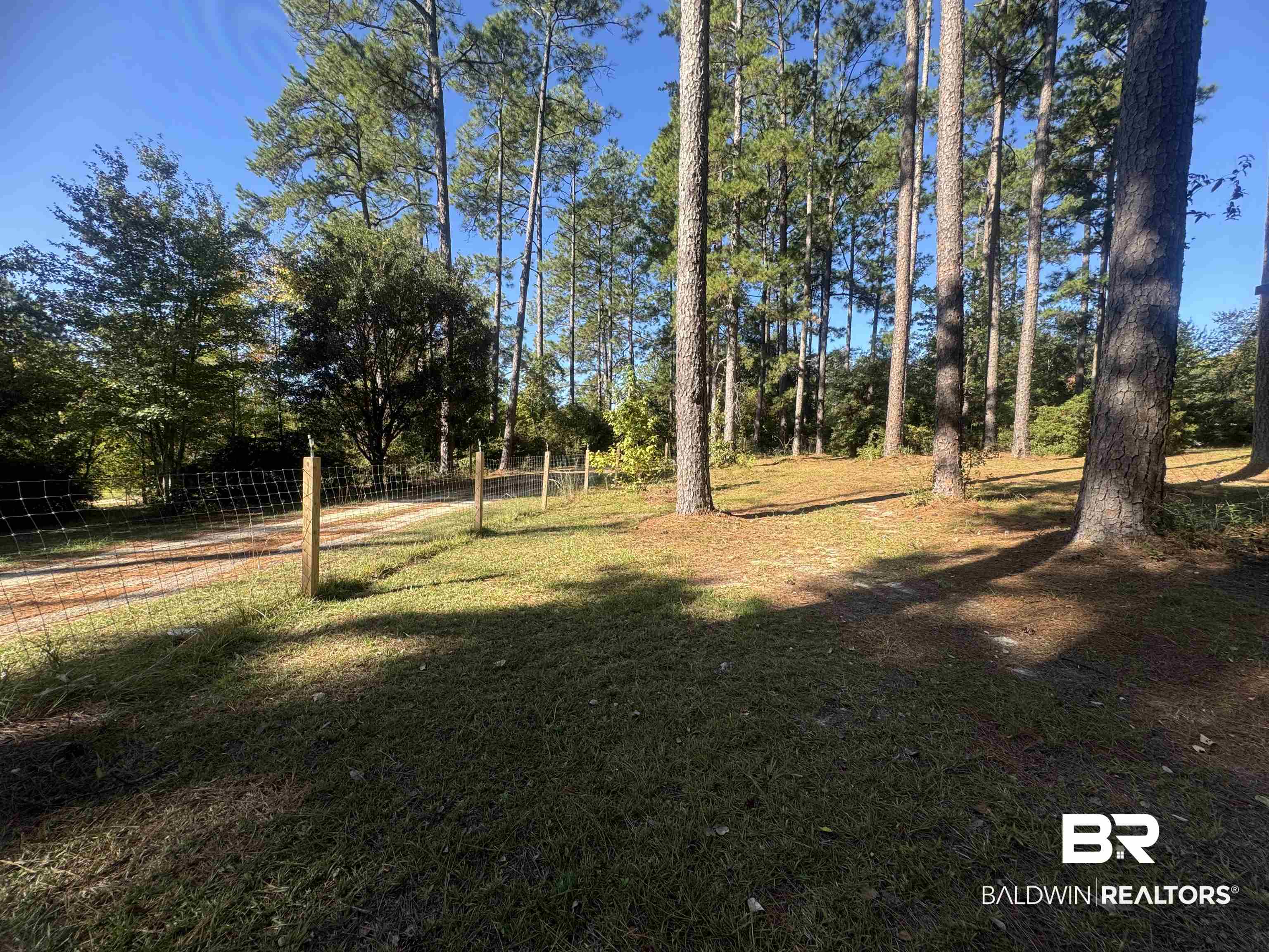 3097 Old Castleberry Road Brewton, AL 36426 - Photo 33 of 49 View of yard