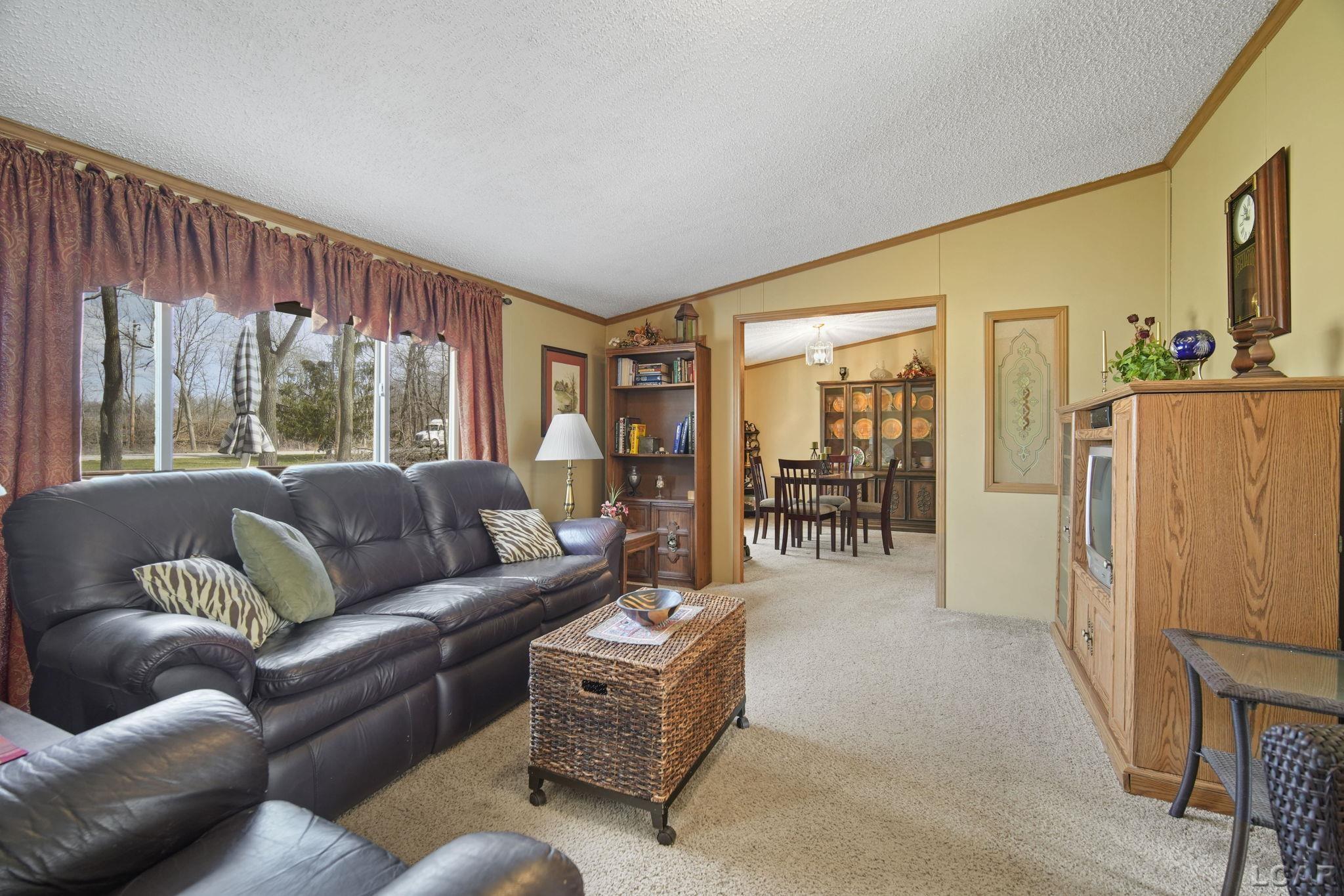 8475 East Chicago Road Horton, MI 49246 - Photo 8 of 49