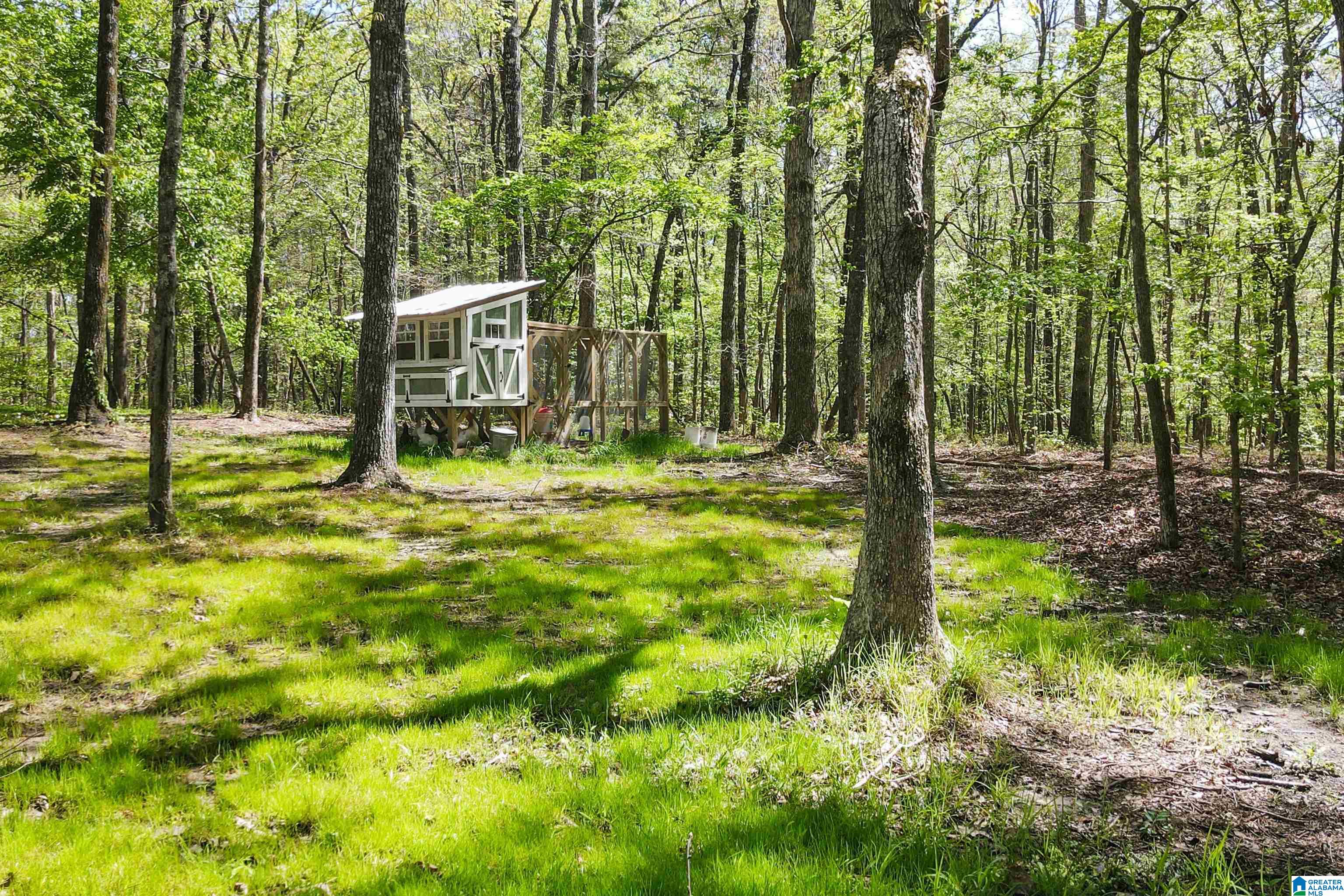 370 Dorough Road Columbiana, AL 35051 - Photo 69 of 89 Gallery Image 69
