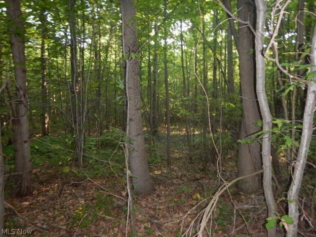 North County Line Road Geneva, OH 44041 - Photo 22 of 32