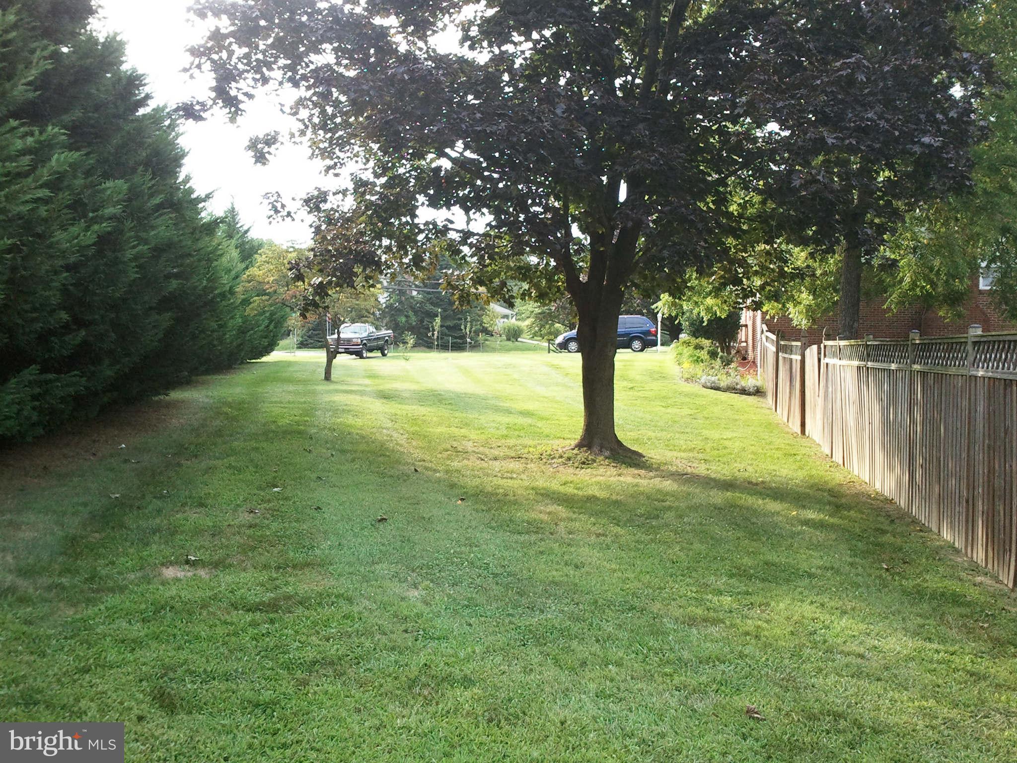 6500 Brooklyn Bridge Road Laurel, MD 20707 - Photo 28 of 29 Front Yard Lined With Leyland Cypress Trees