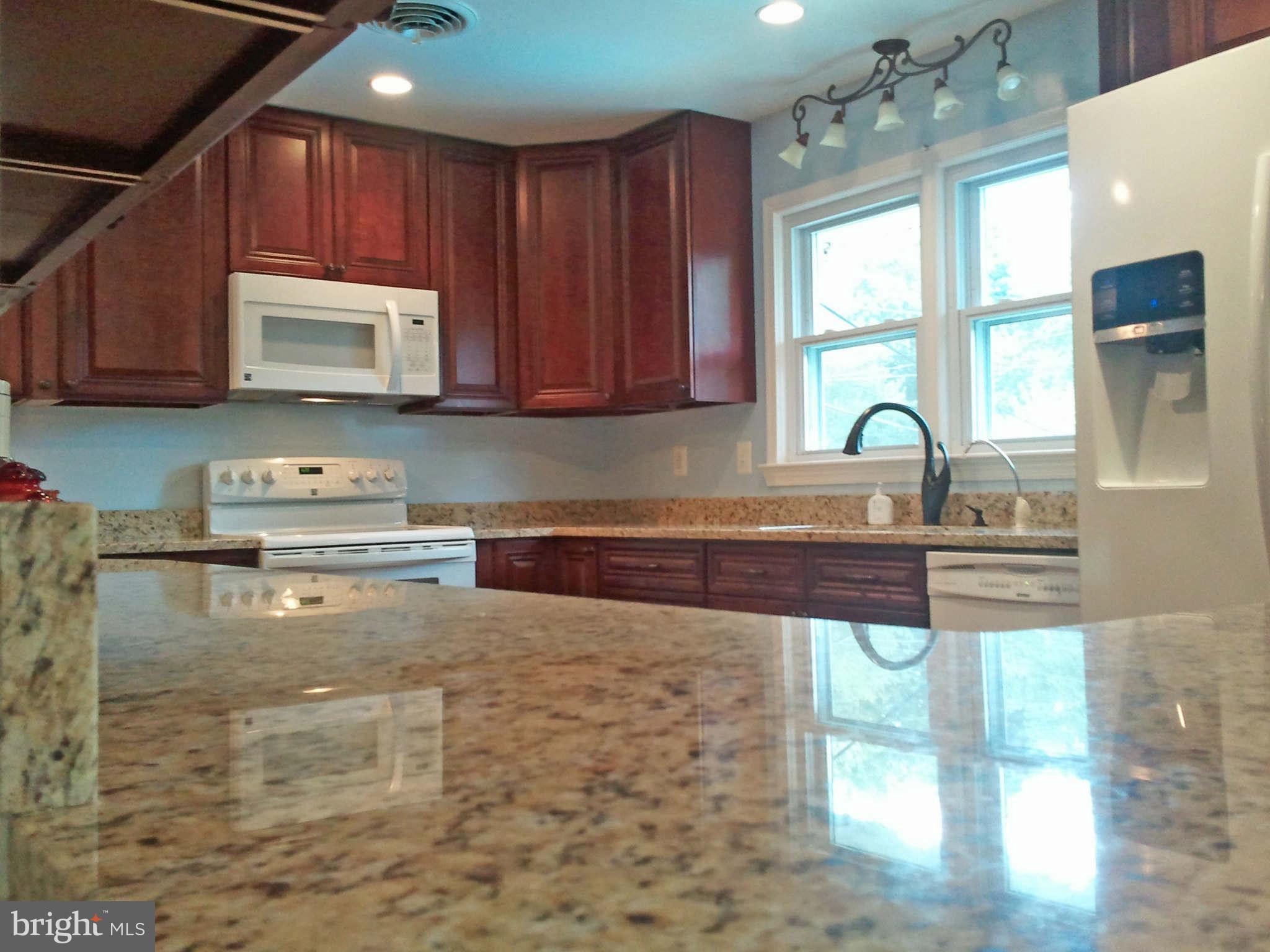 6500 Brooklyn Bridge Road Laurel, MD 20707 - Photo 4 of 29 Kitchen with Granite Counters