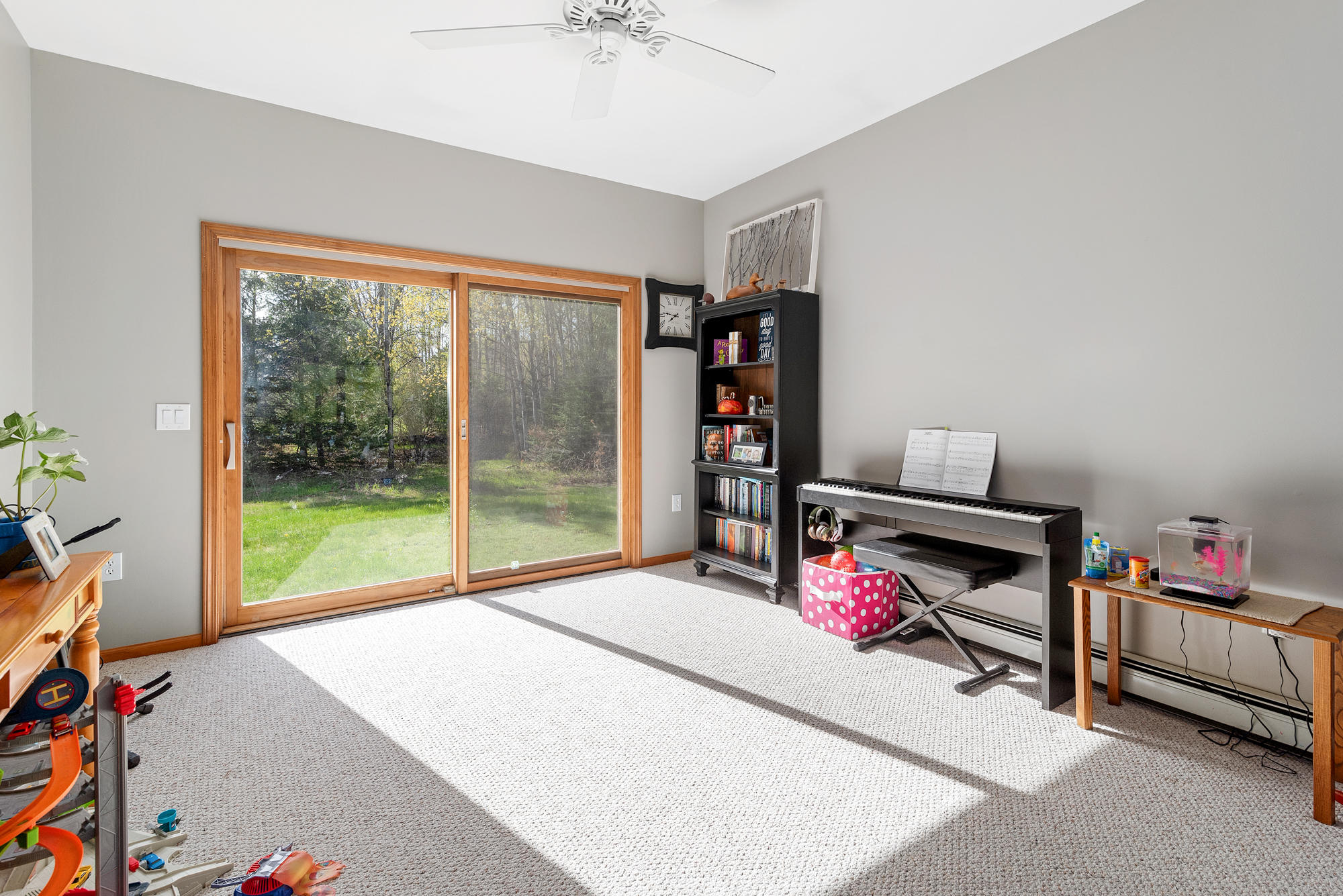 1266 Ellinger Road Alanson, MI 49706 - Photo 8 of 19 Gallery Image 8