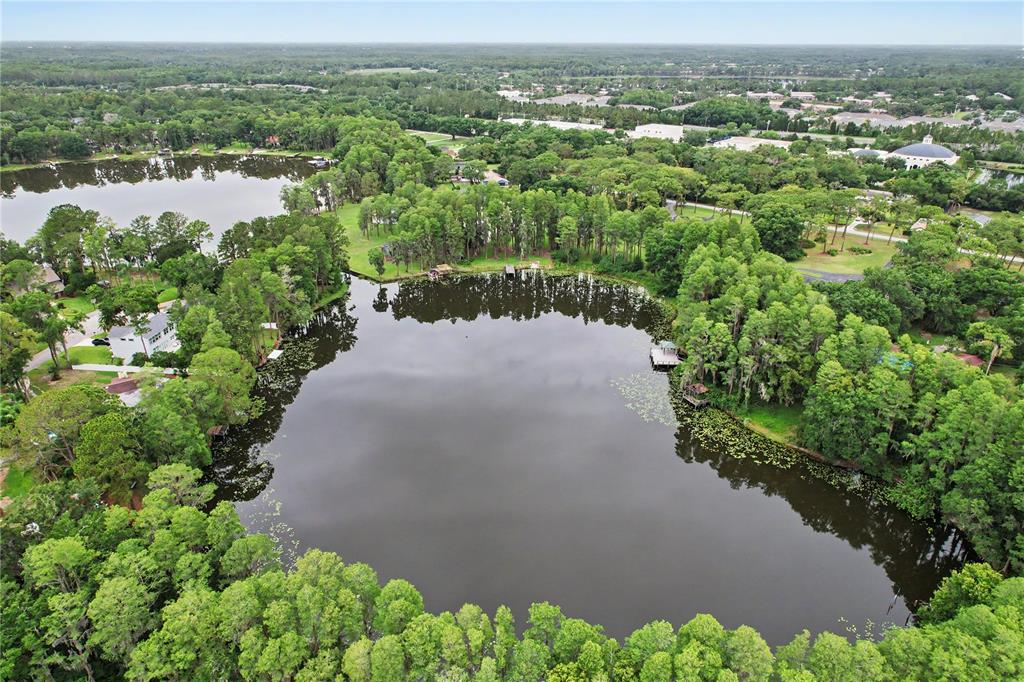 17305 Sherman Road Lutz, FL 33558 - Photo 84 of 89