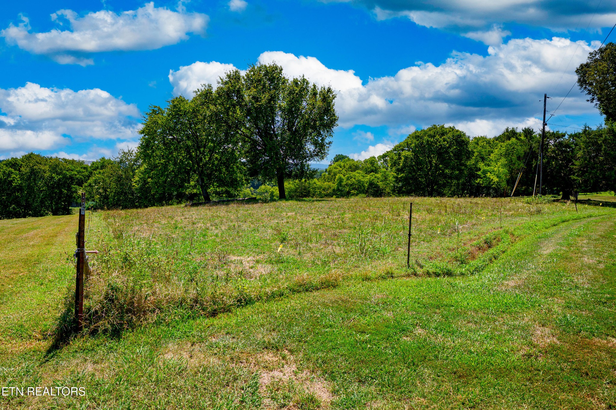 0 Beard Road Strawberry Plains, TN 37871 - Photo 4 of 15 Gallery Image 4