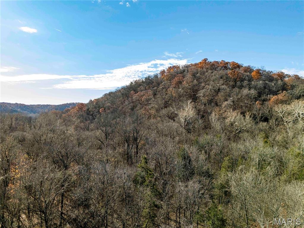 0 Charette Creek Road Warrenton, MO 63383 - Photo 11 of 54