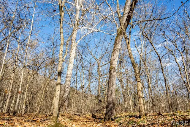 $1 | 0 Charette Creek Road, Warrenton, MO 63383