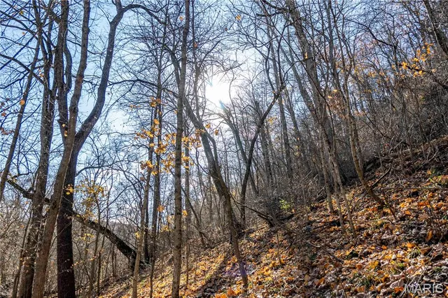 $1 | 0 Charette Creek Road, Warrenton, MO 63383