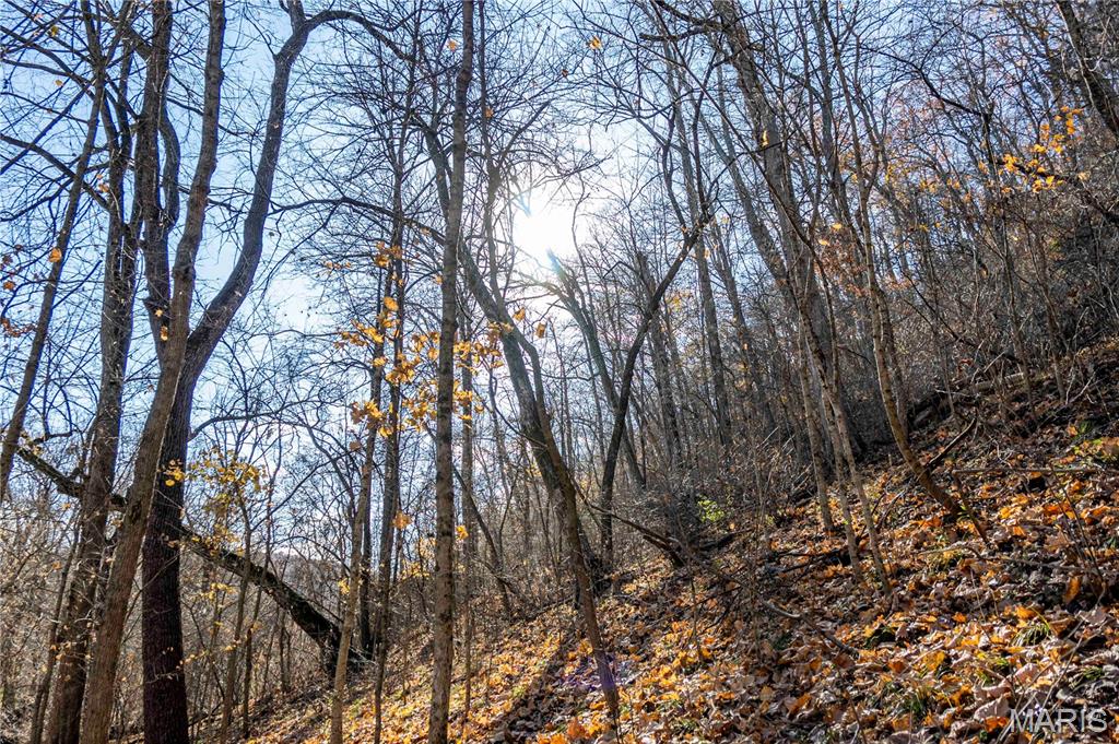 0 Charette Creek Road Warrenton, MO 63383 - Photo 13 of 54