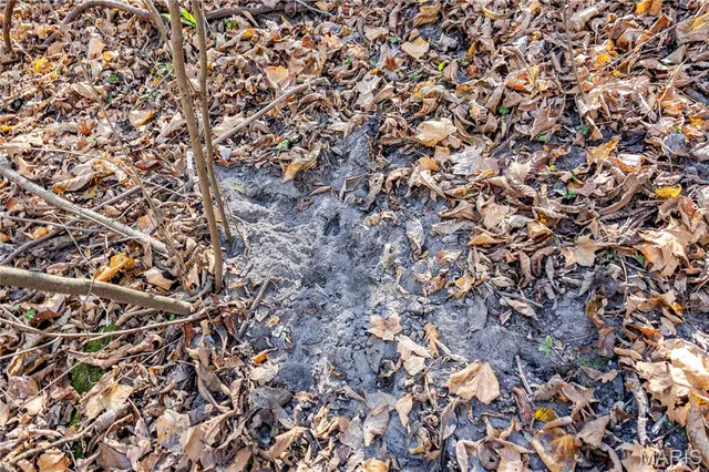 $1 | 0 Charette Creek Road, Warrenton, MO 63383