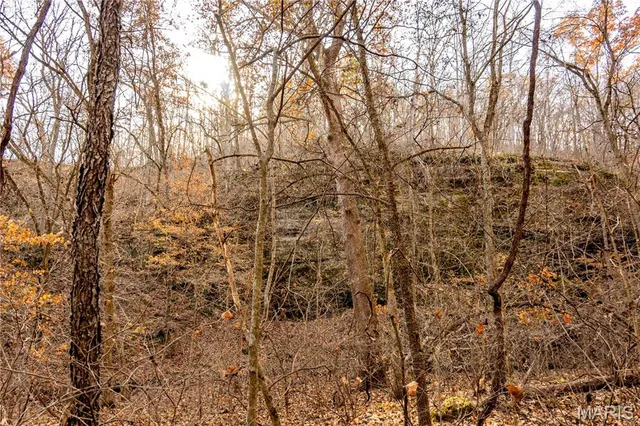 $1 | 0 Charette Creek Road, Warrenton, MO 63383