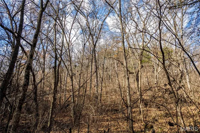 $1 | 0 Charette Creek Road, Warrenton, MO 63383