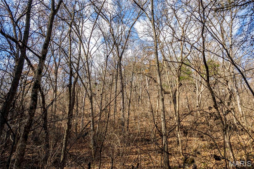 0 Charette Creek Road Warrenton, MO 63383 - Photo 20 of 54