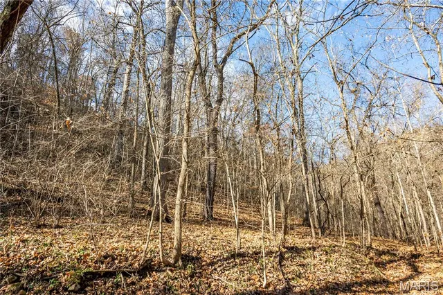 $1 | 0 Charette Creek Road, Warrenton, MO 63383