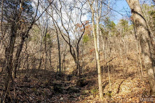 $1 | 0 Charette Creek Road, Warrenton, MO 63383