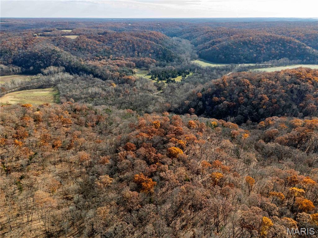 0 Charette Creek Road Warrenton, MO 63383 - Photo 29 of 54