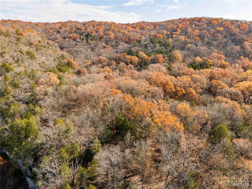 0 Charette Creek Road Warrenton, MO 63383 - Photo 40 of 54