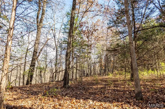 $1 | 0 Charette Creek Road, Warrenton, MO 63383