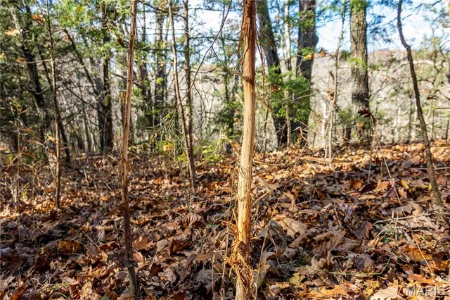 $1 | 0 Charette Creek Road, Warrenton, MO 63383