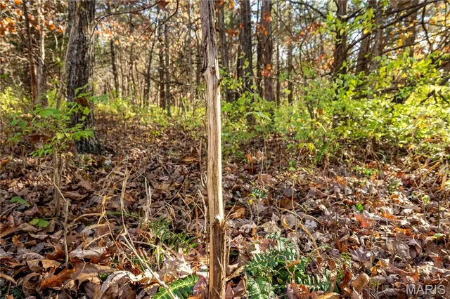 $1 | 0 Charette Creek Road, Warrenton, MO 63383