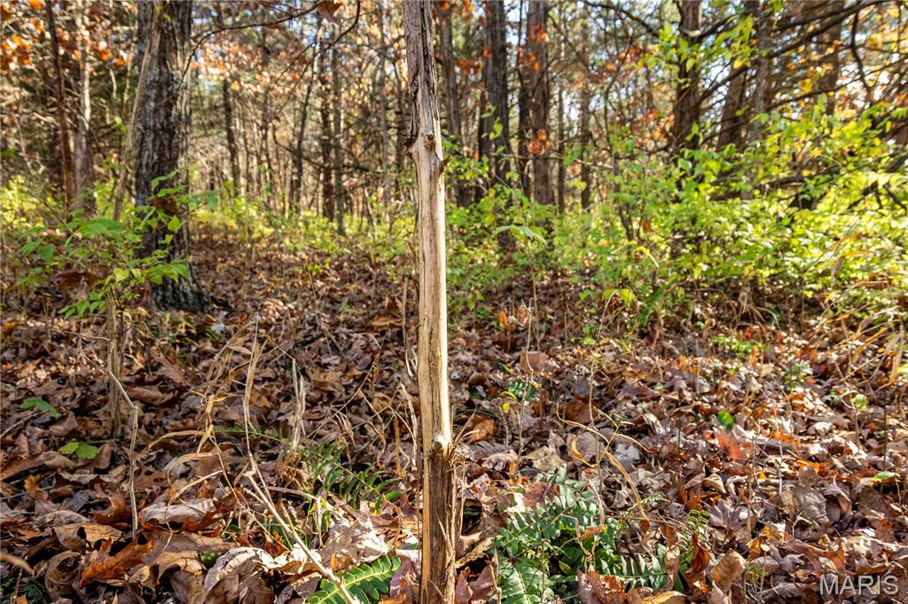 0 Charette Creek Road Warrenton, MO 63383 - Photo 45 of 54