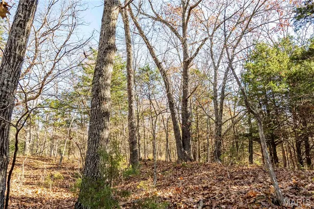 $1 | 0 Charette Creek Road, Warrenton, MO 63383