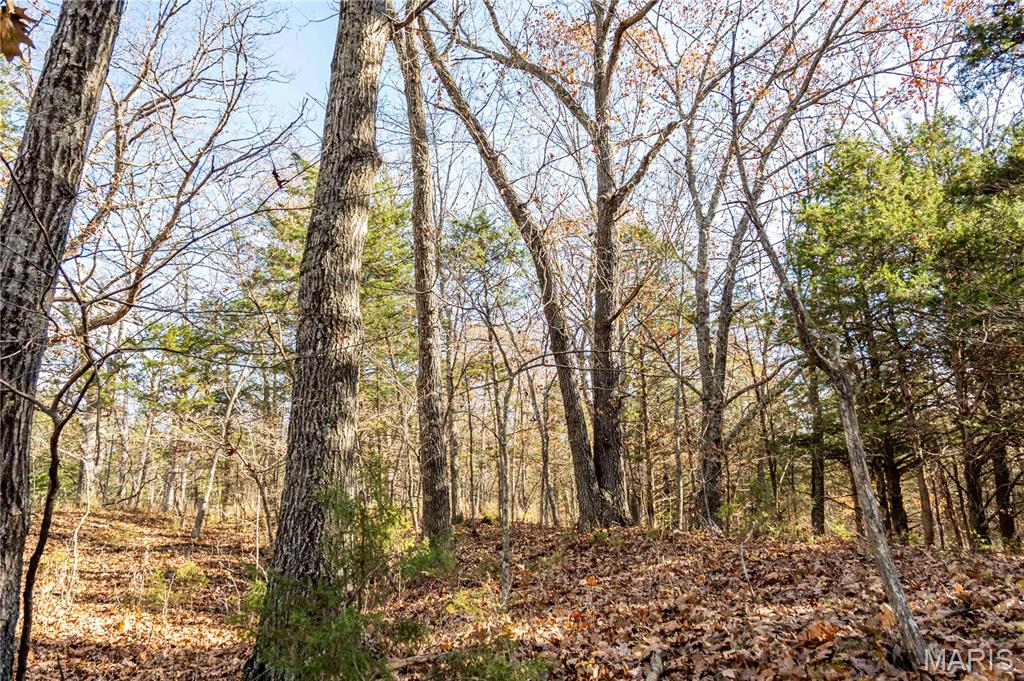 0 Charette Creek Road Warrenton, MO 63383 - Photo 46 of 54