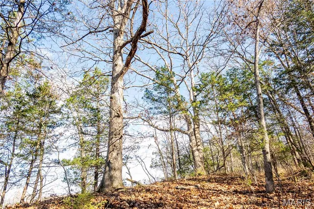 $1 | 0 Charette Creek Road, Warrenton, MO 63383