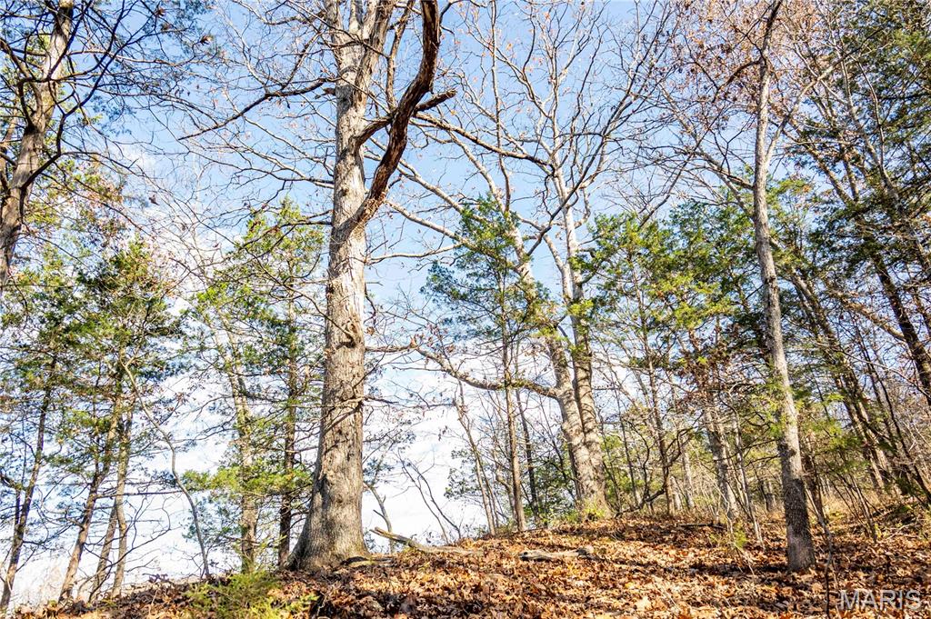 0 Charette Creek Road Warrenton, MO 63383 - Photo 47 of 54