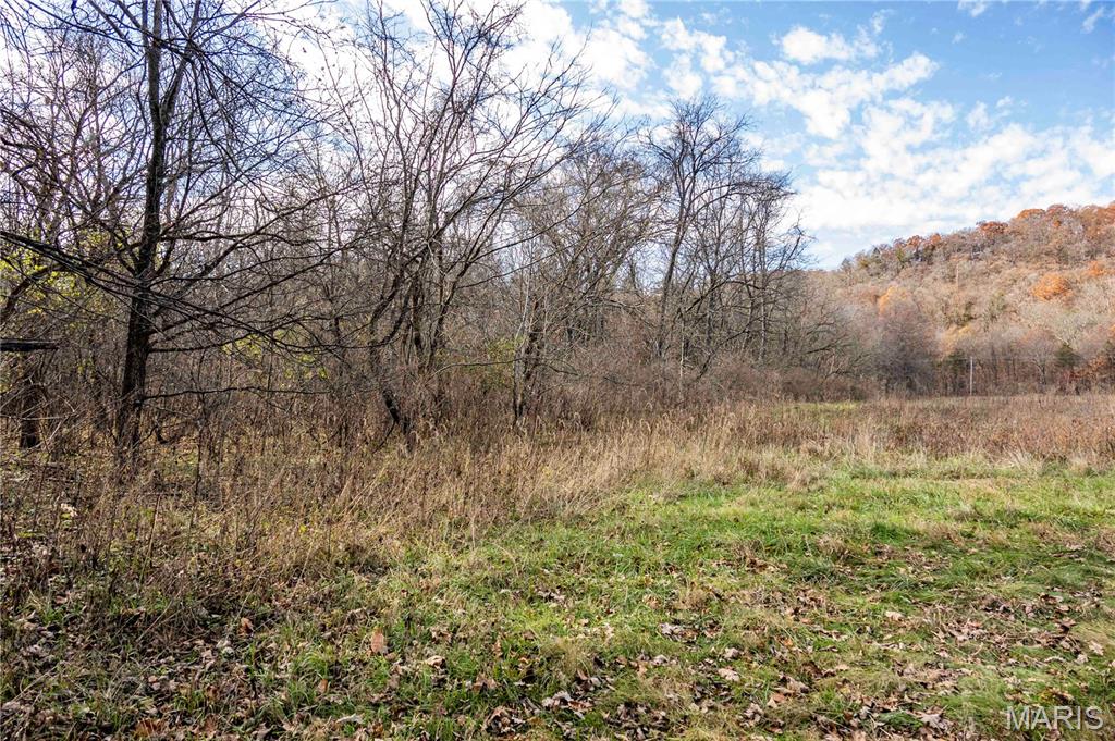 0 Charette Creek Road Warrenton, MO 63383 - Photo 5 of 54